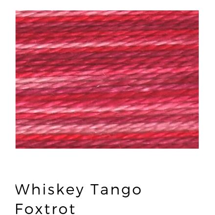 Whiskey Tango Foxtrot (53) - Acorn Premium Hand-Dyed 8 wt Hand Stitching Thread - 20 yds