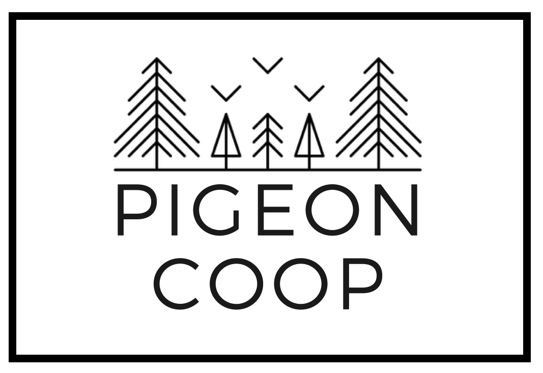 pigeon-coop-designs-keystonemoderncreative