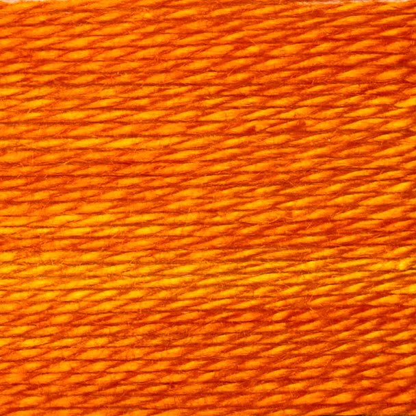 Am I Bright? - Cache Thread Box (5pk) - Acorn Bobbins by Trailhead Co