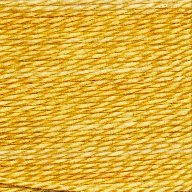 Sunshine - Cache Thread Box (5pk) - Acorn Bobbins by Trailhead Co