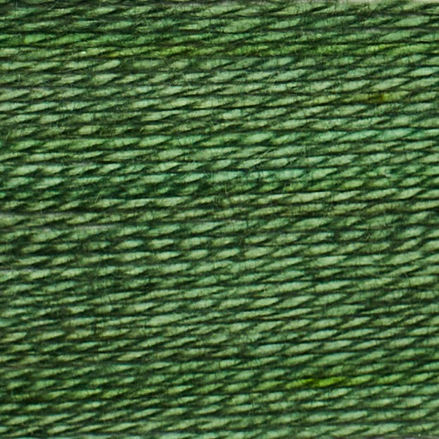 Greedy for Green - Cache Thread Box (5pk) - Acorn Bobbins by Trailhead Co