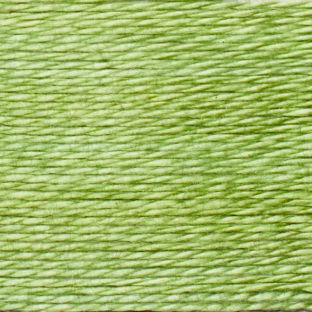 Greedy for Green - Cache Thread Box (5pk) - Acorn Bobbins by Trailhead Co