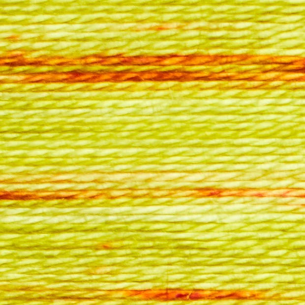 Sunshine - Cache Thread Box (5pk) - Acorn Bobbins by Trailhead Co
