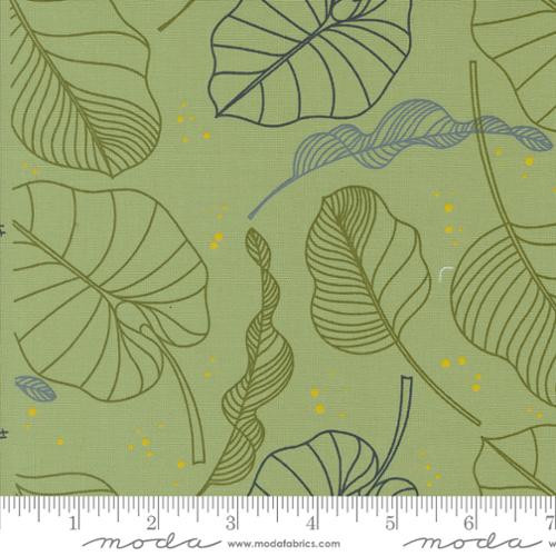 Olive You - Leaves in Sage (1880-18) by Zen Chic for Moda Fabrics - PRE ORDER Arrives Late Fall 2024