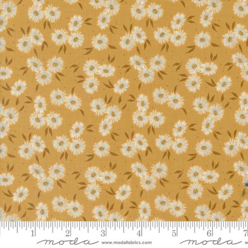 Seaglass Summer - Beach Asters in Summer Sunshine (43181-18) by Sweetfire Road for Moda Fabrics - PRE ORDER Arrives Late April 2025