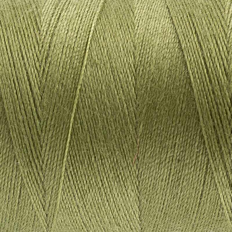 Wild Willow - (DS228) - Designer™ 40wt Polyester by Wonderfil Specialty Threads