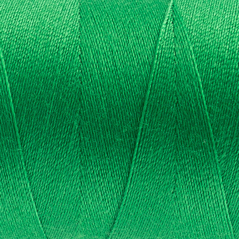 Pigment Green - (DS843) - Designer™ 40wt Polyester by Wonderfil Specialty Threads
