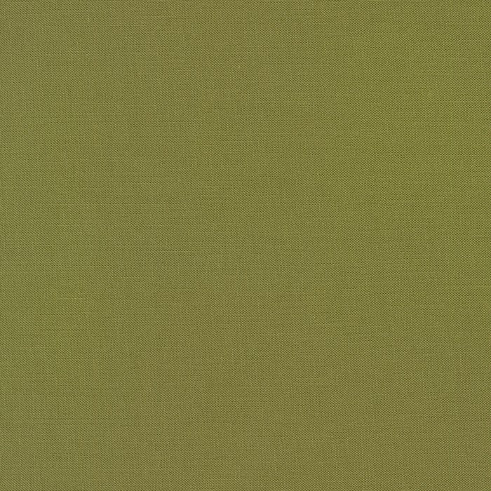 Olive - Modern Canvas by Robert Kaufman - $16.96/m ($15.65/yd)