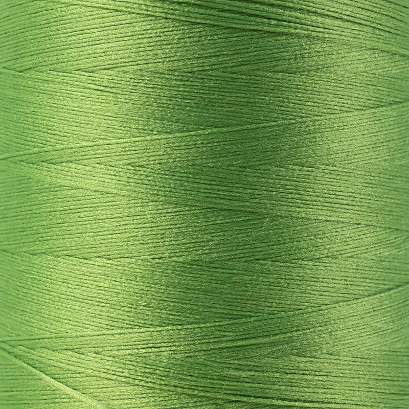 Palm Leaf - (SL45) - SoftLoc By Wonderfil Specialty Threads