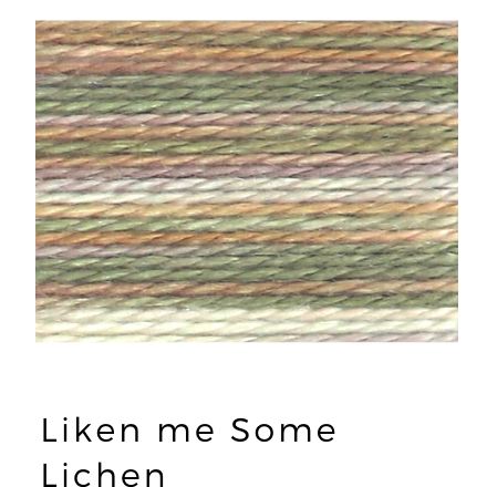 Liken Me Some Lichen (87) - Acorn Premium Hand-Dyed 8 wt Hand Stitching Thread - 20 yds