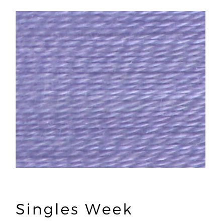Singles Week (120) - Acorn Premium Hand-Dyed 8 wt Hand Stitching Thread - 20 yds