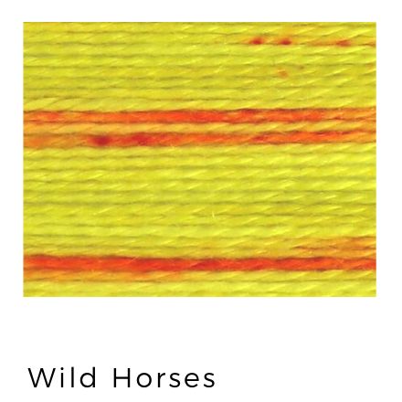 Wild Horses (72)- Acorn Premium Hand-Dyed 8 wt Hand Stitching Thread - 20 yds